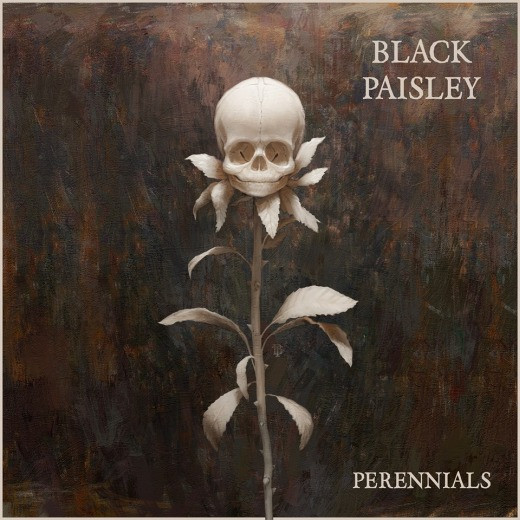 BLACK PAISLEY / Perennials (Sweden NWOCRA2nd)