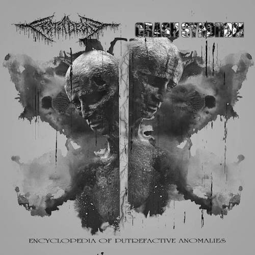 FESTERDECAY / CRASH SYNDROME / wEncyclopedia of Putrefactive Anomaliesx (split)