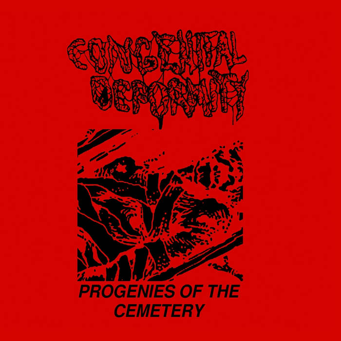 CONGENITAL DEFORMITY / Progenies of the Cemetery