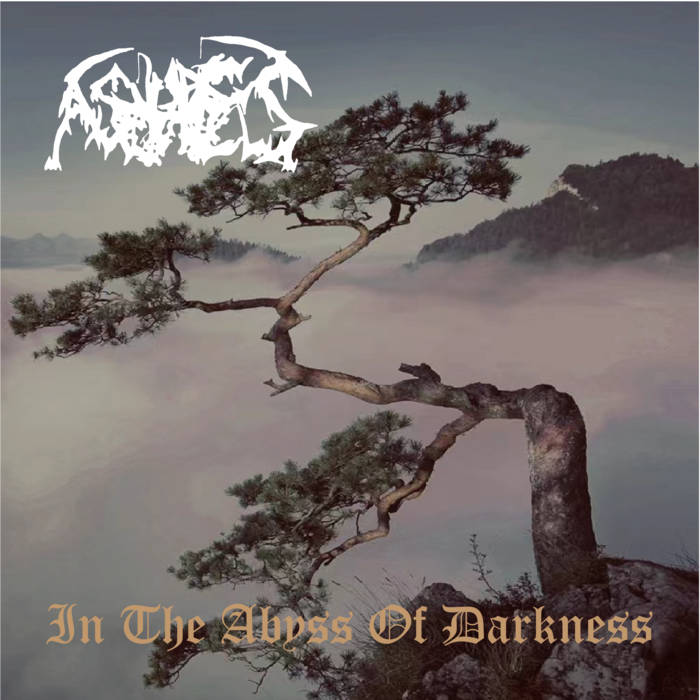 ASHES /  In The Abyss Of Darkness (1992) (2022 reissue)
