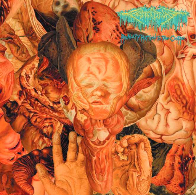 FesterDecay /  Reality Rotten to the Core (CD)