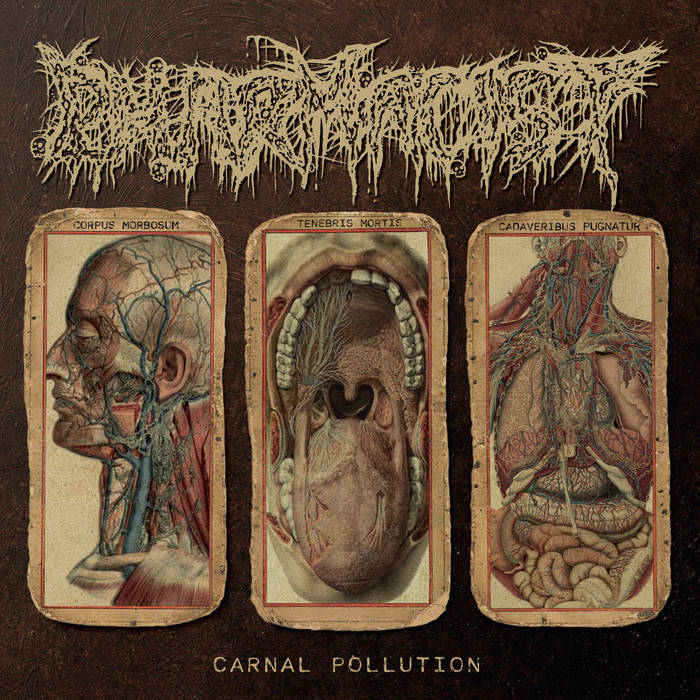 PHARMACIST / Carnal Pollution 