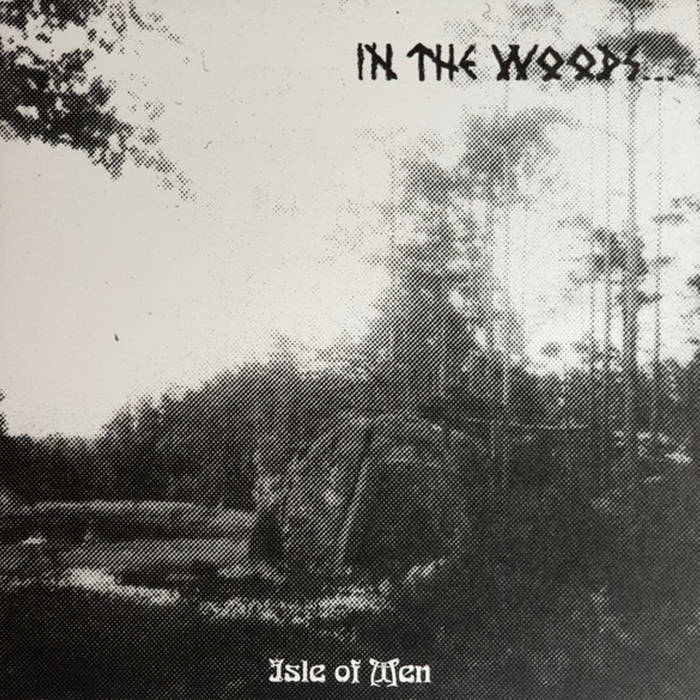 IN THE WOODS / Isle of Men@i2023 Reissue)