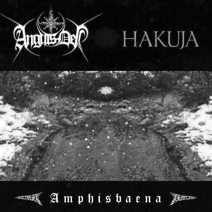 ANGUIS DEI/HAKUJA / wAmphisbaenax(split)@iEՁj