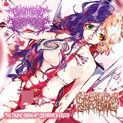 DEHUMANIZING ITATRAIN WORSHIP / CHEERLEADER CONCUBINE / The Divine Union of Serrated Flesh (split)