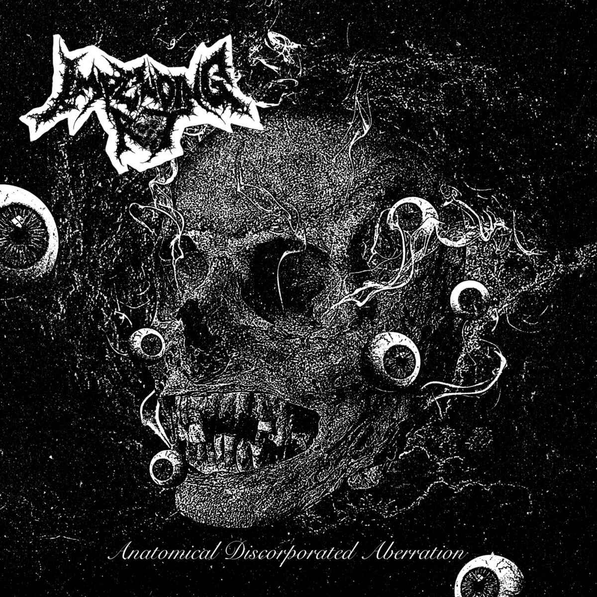 IMPENDING ROT / Anatomical Discorporated Aberration