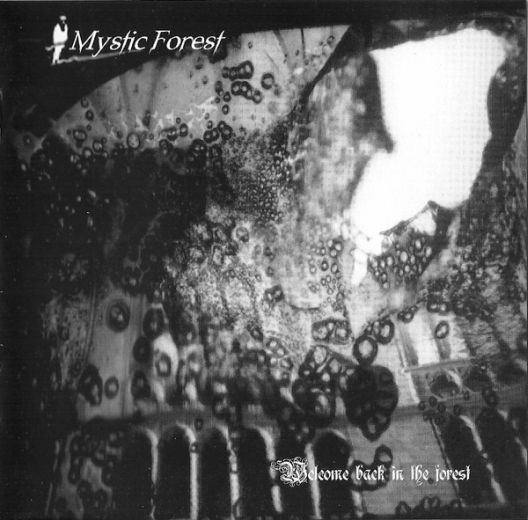 MYSTIC FOREST / Welcome Back in the Forest (Áj