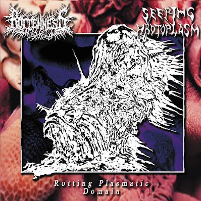 ROTTENNESS / SEEPING PROTOPLASM / Split