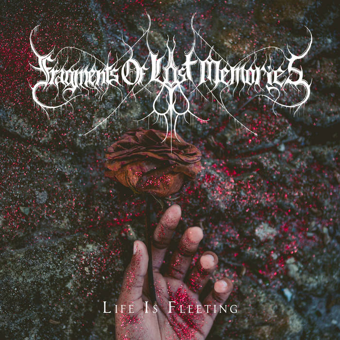 Fragments of Lost Memories / Life is Fleeting