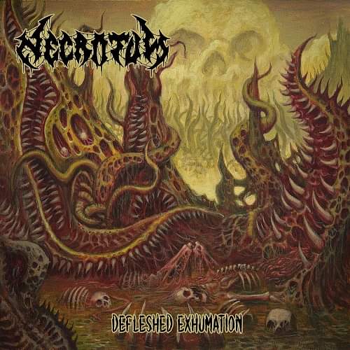 NECROTUM / Defleshed Exhumation 