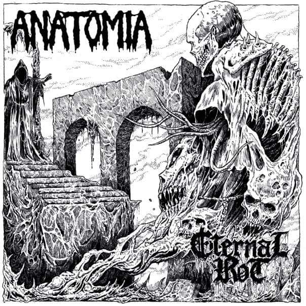 ANATOMIA/ETERNAL ROT / split