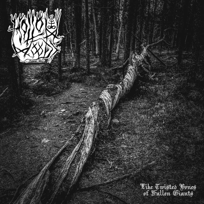 HOLLOW WOODS / Like Twisted Bones of Fallen Giants