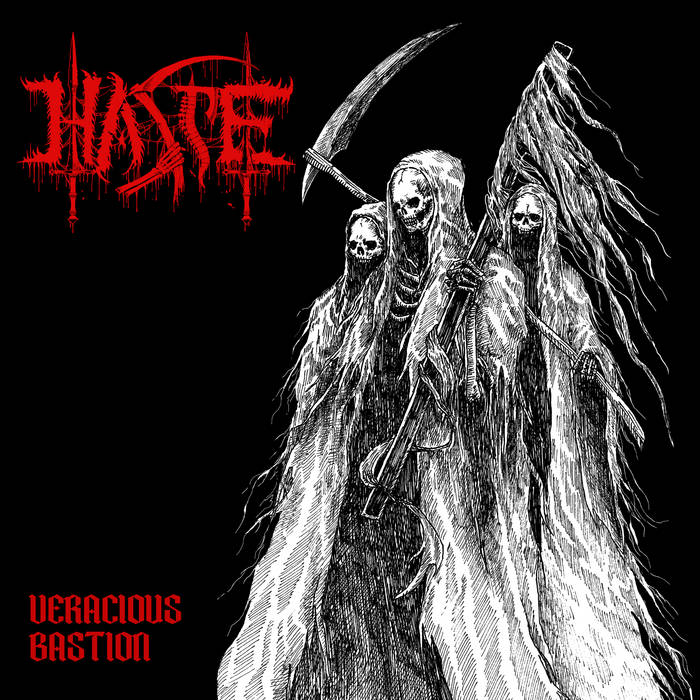 HASTE / Veracious Bastion (LP)