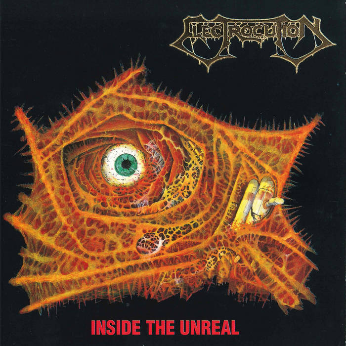 ELECTROCUTION / Inside the Unreal (2CD/2024 reissue) {[iXőSf^I