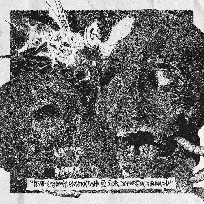IMPENDING ROT / Death Chronology Cadaveric Fauna and Other Postmortem Phenomena iѕtj