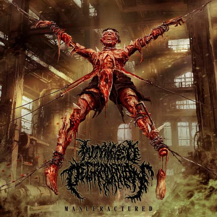 PUTRIFIED DEGRADATION / Manufractured