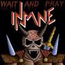 INSANE / Wait and Pray (original BATTLE CRY RecordsՁj