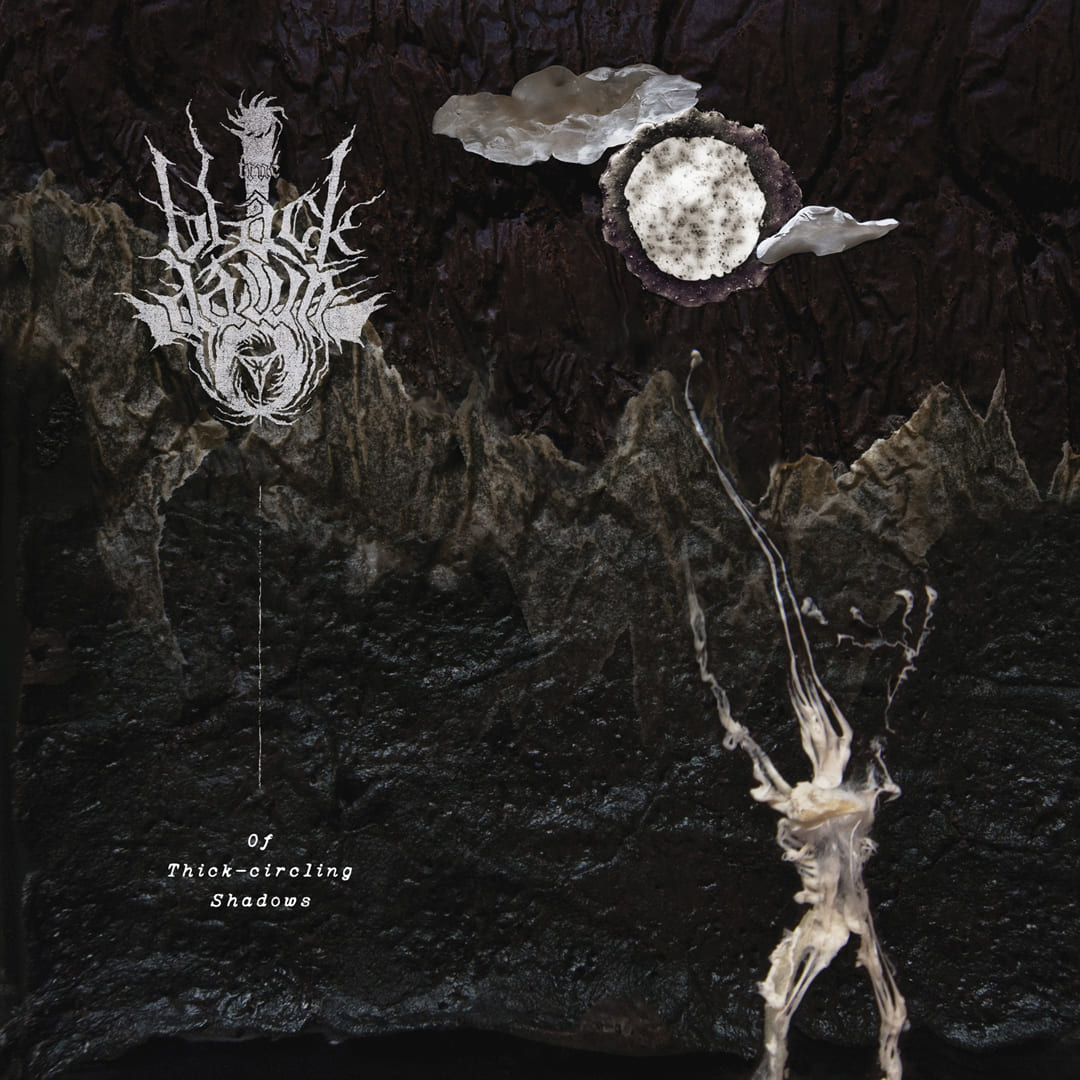 TRUE BLACK DAWN / Of Thick circling Shadows (digi)