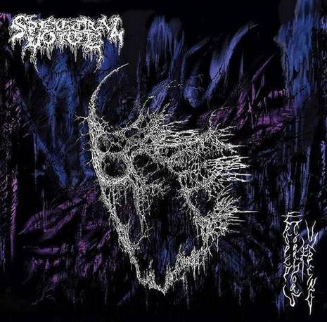 SPECTRAL VOICE / Eroded Corridors of Unbeing