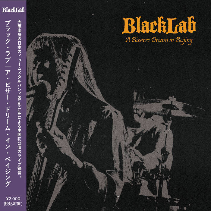 BlackLab / A Bizarre Dream in Beijing