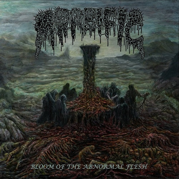 MORBIFIC / Bloom of the Abnormal Flesh (NEW!)