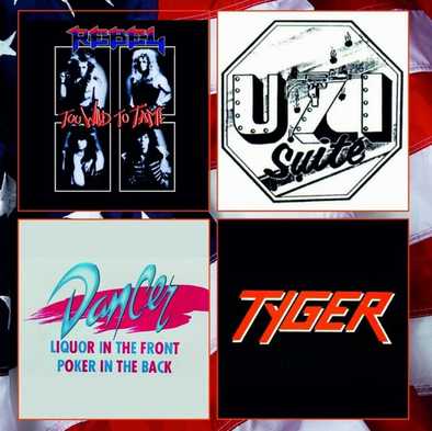 V.A. / Rare Hair Metal America Vol.1 (collectors CD) 