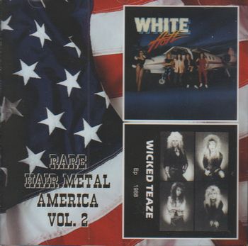 V.A. / Rare Hair Metal America Vol.2 (collectors CD)