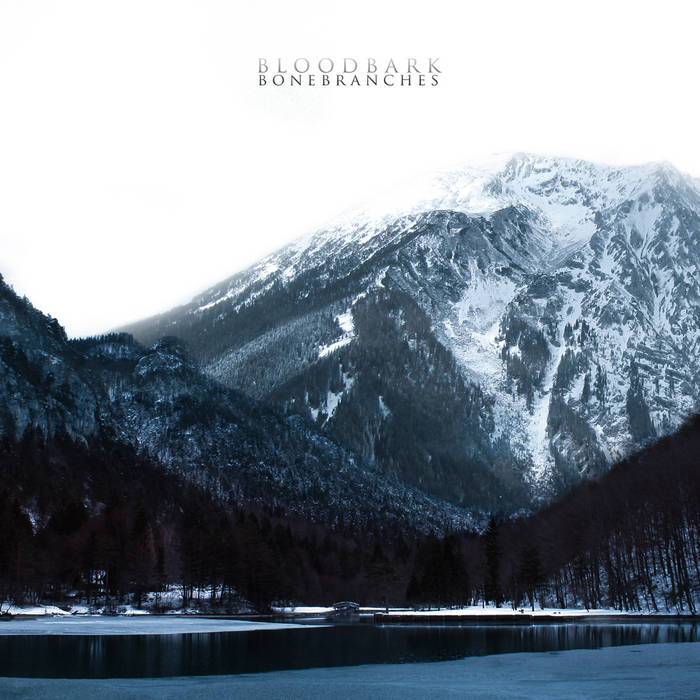 BLOODBARK / Bonebranches 