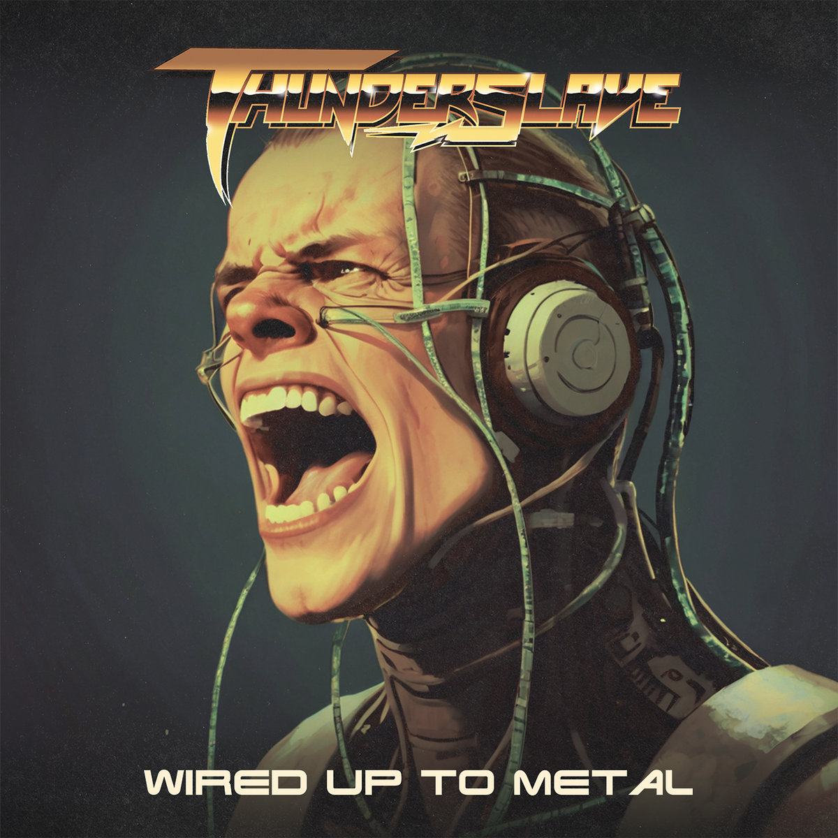 THUNDERSLAVE / Wired Up to Metal 