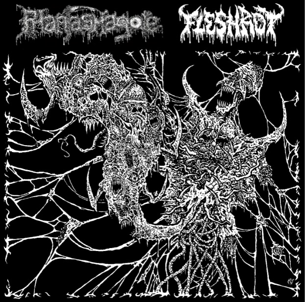 PHANTASMAGORE/FLESHROT / wTwisted Visions of Abominationsxisplit)