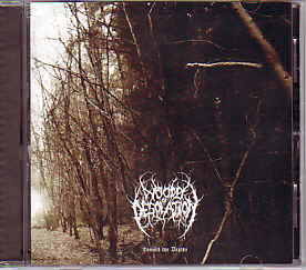 WOODS OF DESOLATION / Towards the Depths