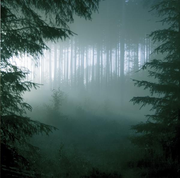 THY SERPENT / Forest of Witchery (2025 reissue)