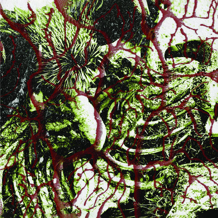 TORTURER'S LOBBY / Deadened Nerves