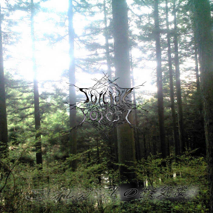 Suicide Forest / ���ꂪ����凋C�O