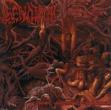 CENOTAPH / Pseudo Verminal Cadaverium 