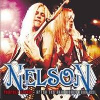 NELSON / Perfect Storm After the Rain World Tour 1991